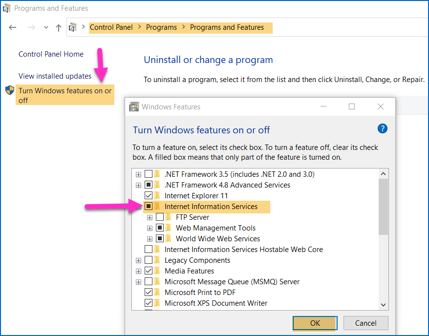 How To Install IIS In Windows 10 OS - MorganTechSpace